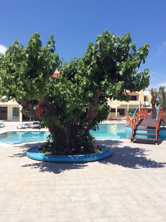 Angelos Beach Hotel Faliraki Dış mekan fotoğraf